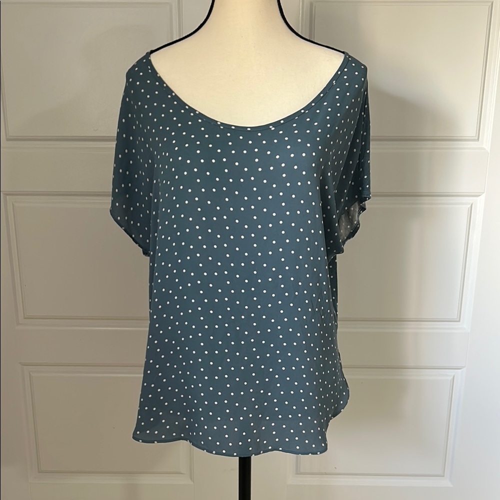 Ann Taylor LOFT Blue and White Polka Dot Blouse Relaxed Fit